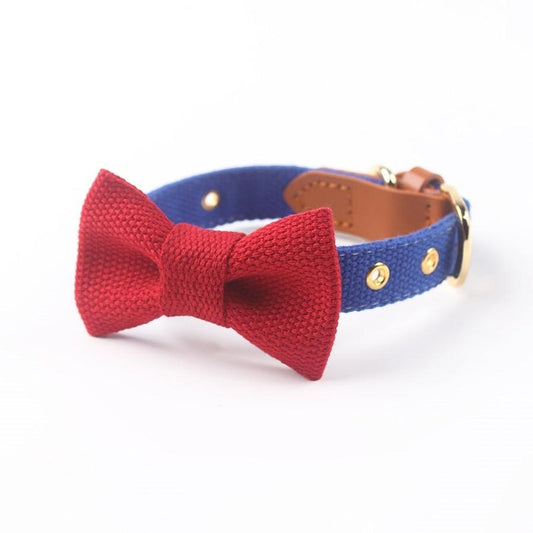 JMT-153226 Canvas Dog Collar with Hand-Holding Rope and Leather Stitching in Various Colors
