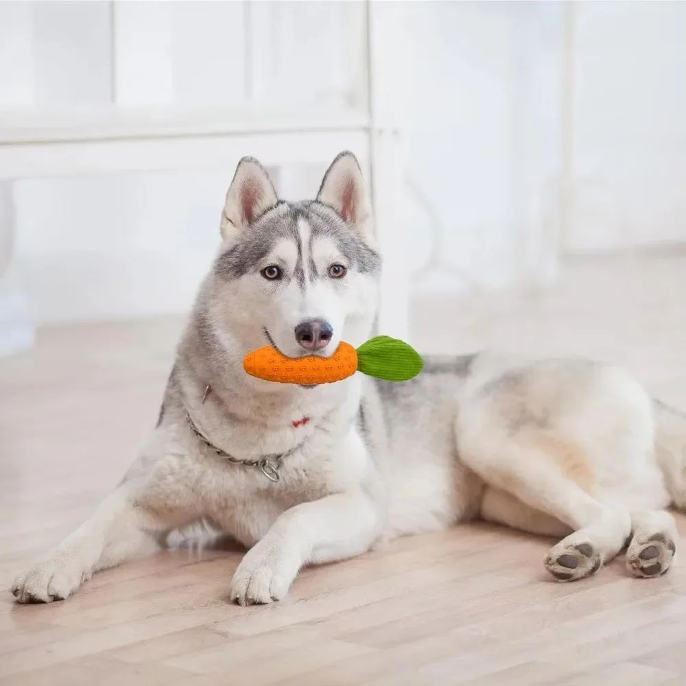 JMT-158474 Durable Rubber and Plush Carrot Dog Chew Toy with Squeaker for Boredom Chewers