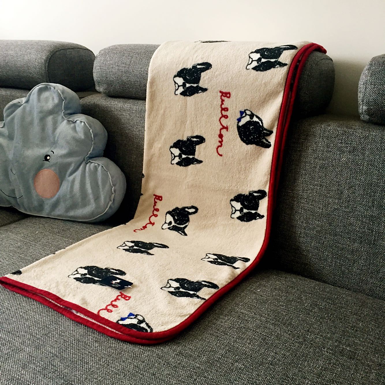 JMT-164234 Cozy Coral Velvet Blanket in Beige Bull Head - Soft and Versatile for Pets and Babies, 70cm x 100cm