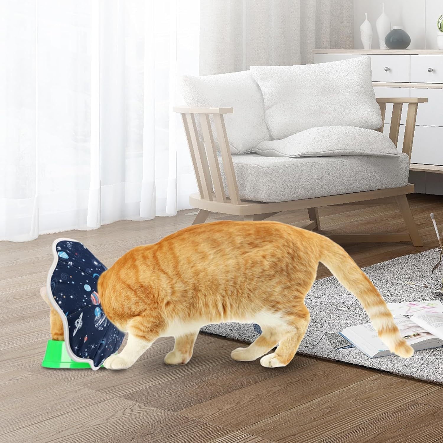 JMT-170186 Soft Cat Recovery Collar for Small and Medium Cats – Comfortable Adjustable Neck Cone to Prevent Licking After Surgery