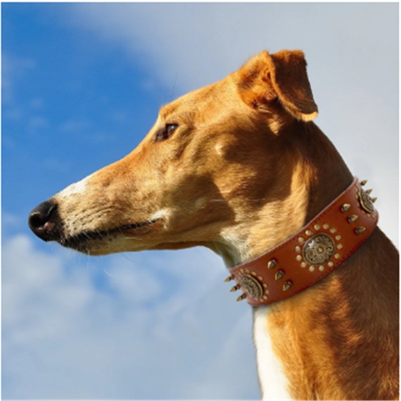 JMT-171338 Retro Leather Neck Sleeve for Large and Medium Dogs with Alloy Rivets