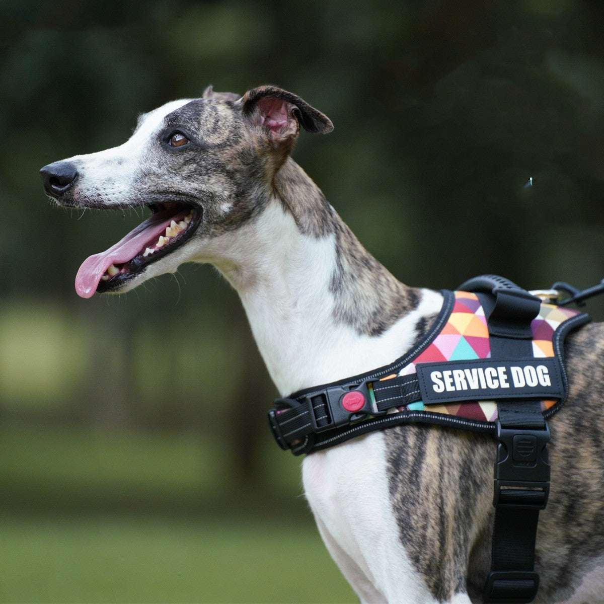 JMT-172170 Dark Blue Camouflage Night Reflective Pet Vest for Small to XXL Dogs