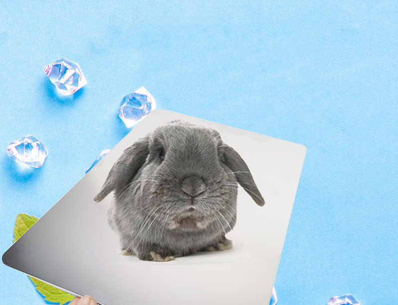 JMT-173450 Pet Cooling Plate - Aluminum Cooling Pad for Rabbits and Guinea Pigs (Various Sizes Available)