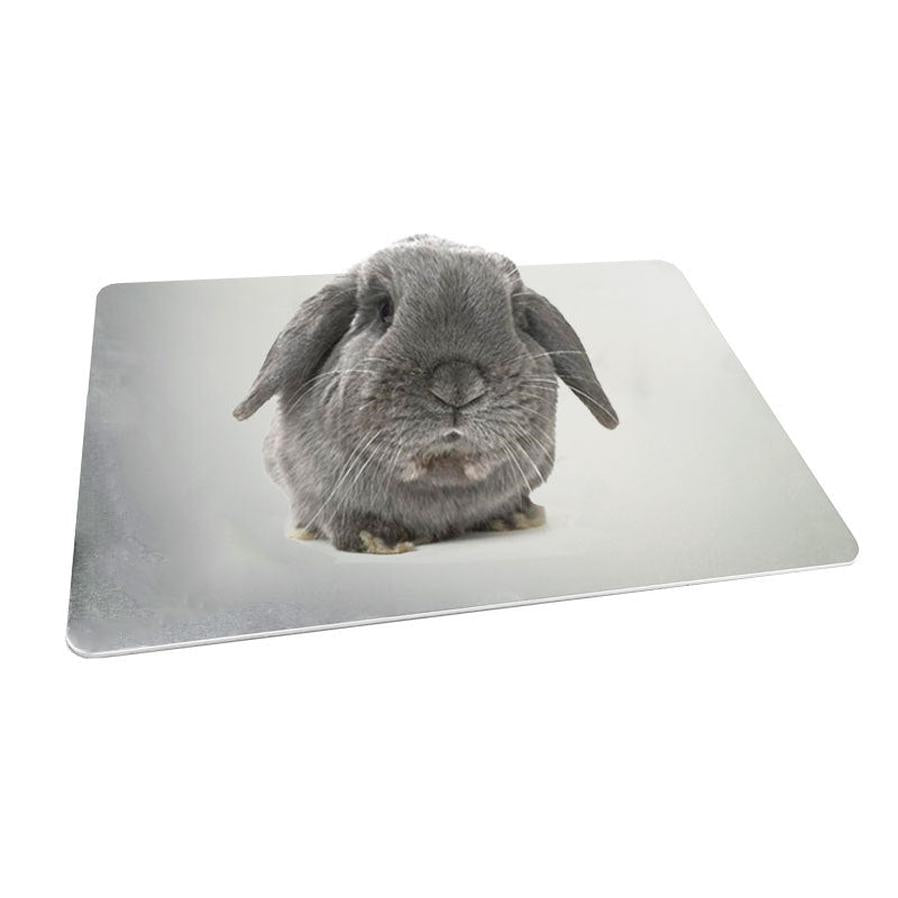 JMT-173450 Pet Cooling Plate - Aluminum Cooling Pad for Rabbits and Guinea Pigs (Various Sizes Available)
