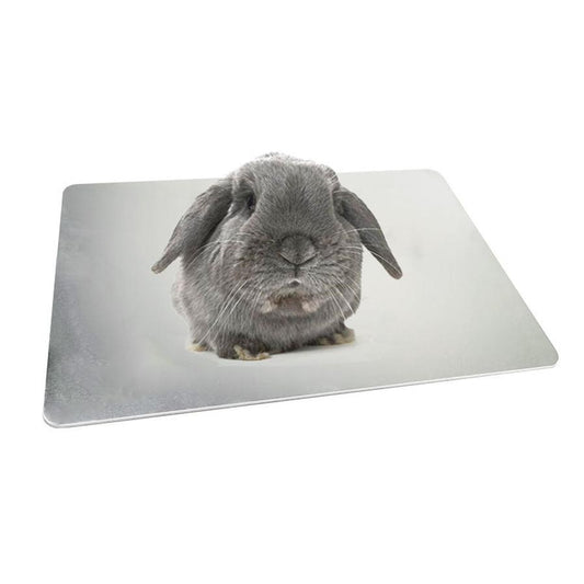 JMT-173450 Pet Cooling Plate - Aluminum Cooling Pad for Rabbits and Guinea Pigs (Various Sizes Available)
