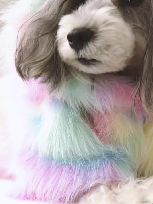 JMT-176074 Rainbow Casual Pet Jacket for Small to Medium Dogs - Adjustable Fit in Lightweight Polyester