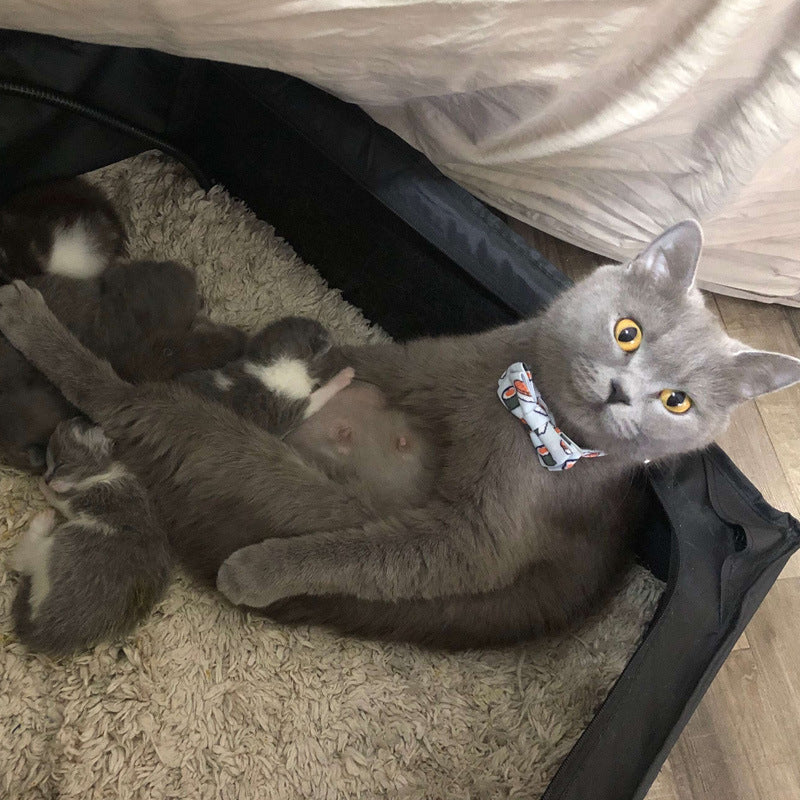 JMT-178250 Cloth Dog Collar with Bow Tie Design in Fun Food Patterns