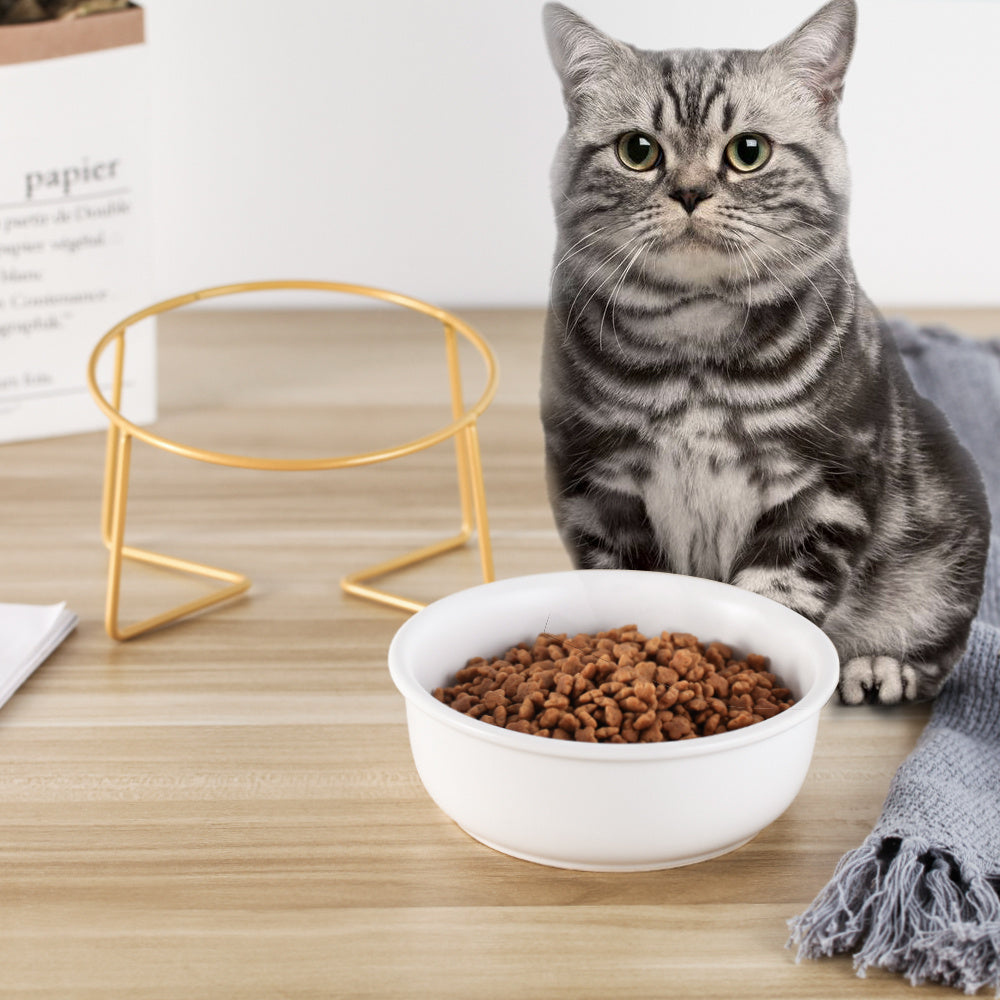 JMT-179914 Tilted Ceramic Cat Food Bowl with Stainless Steel Features - Modern Heightened Design