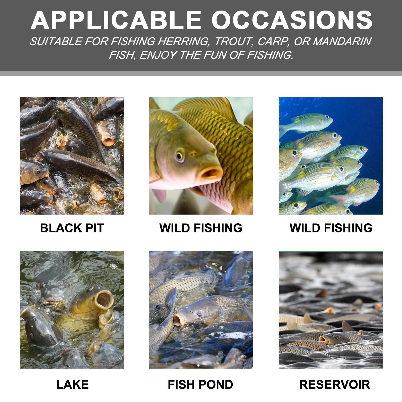 JMT-183370 Portable Corn Fish Bait for Effective Reservoir Fishing