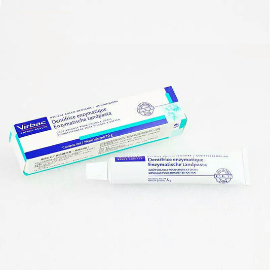 JMT-188874 Chicken Flavor Toothpaste for Dogs and Cats - 70g for Dental Care