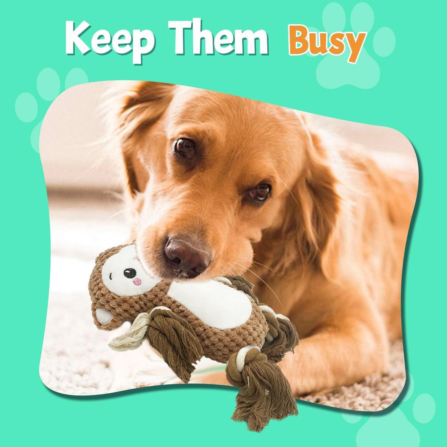 JMT-189770 Squeaky Plush Dog Toys Assorted Set for Medium and Large Dogs - Monkey & Lion Design