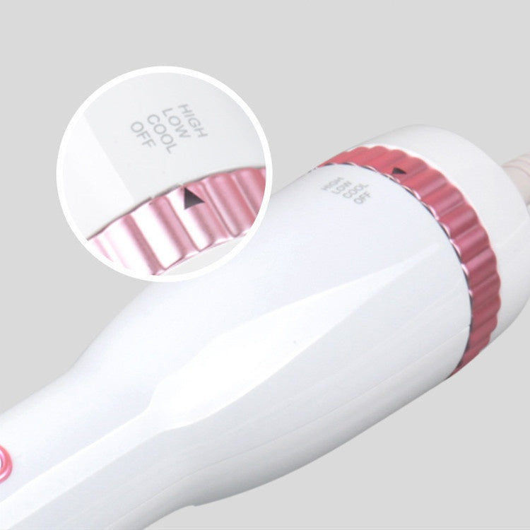 JMT-194634 Multifunctional Hair Dryer and Straightening Comb for Pets - Hot & Cold Air with Noise Reduction and Overheat Protection