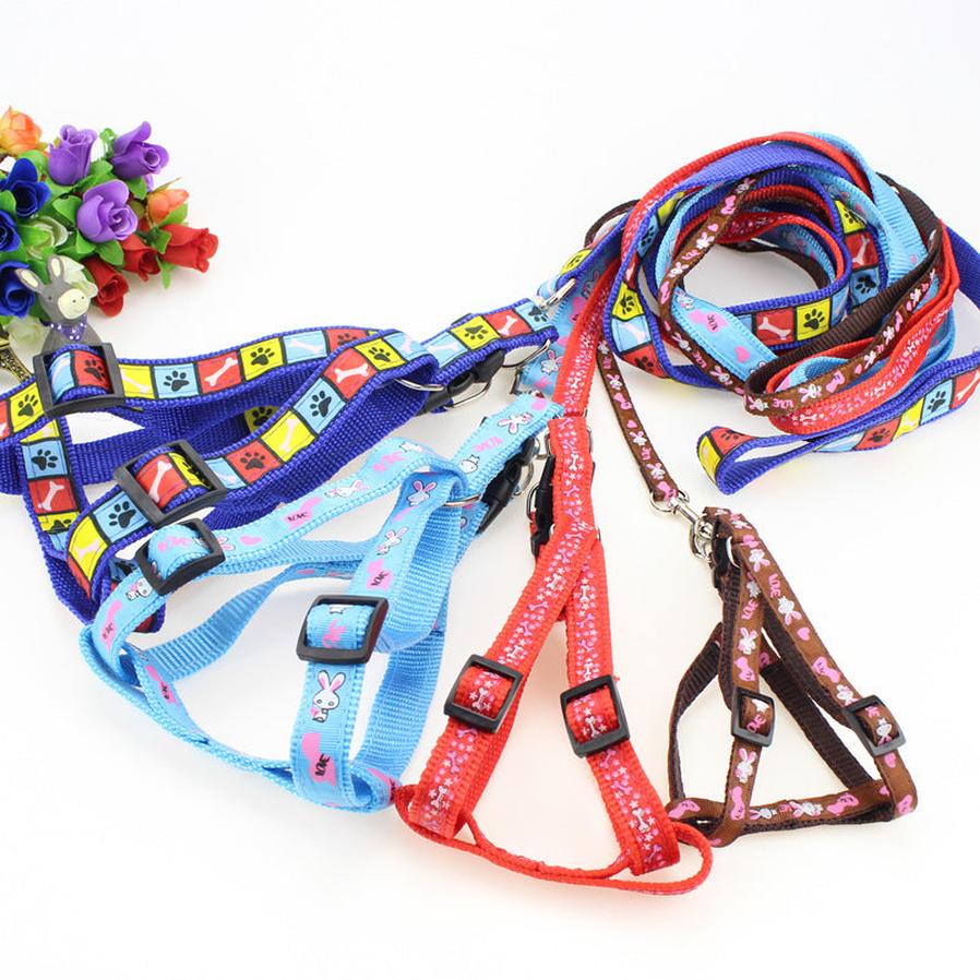 JMT-196042 Fashionable Printed Patch Pet Leash & Chest Harness with Adjustable Size Options