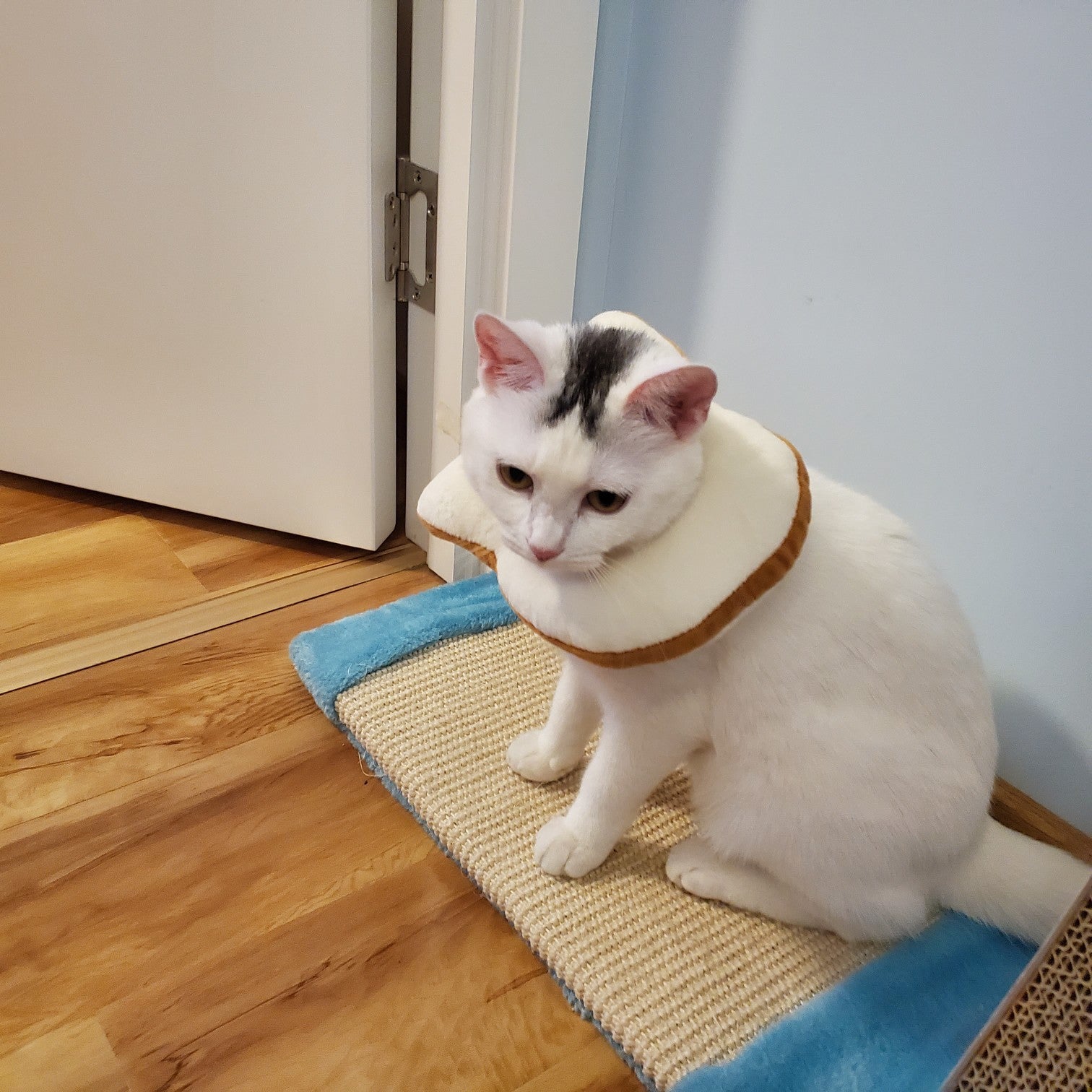 JMT-199498 Cute Cartoon Bread Slice Puppet Headgear for Fun Dress-Up Activities