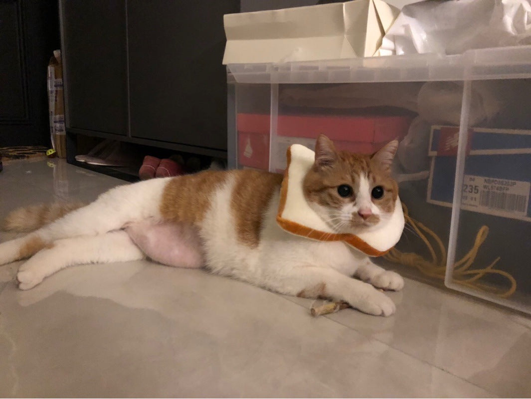 JMT-199498 Cute Cartoon Bread Slice Puppet Headgear for Fun Dress-Up Activities