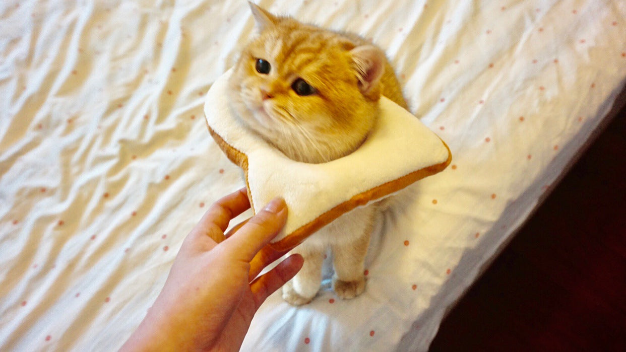 JMT-199498 Cute Cartoon Bread Slice Puppet Headgear for Fun Dress-Up Activities