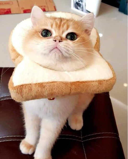 JMT-199498 Cute Cartoon Bread Slice Puppet Headgear for Fun Dress-Up Activities