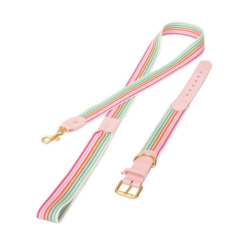 JMT-199498 Woven Leather Dog Collar with Braided Traction Rope for Medium to Large Dogs