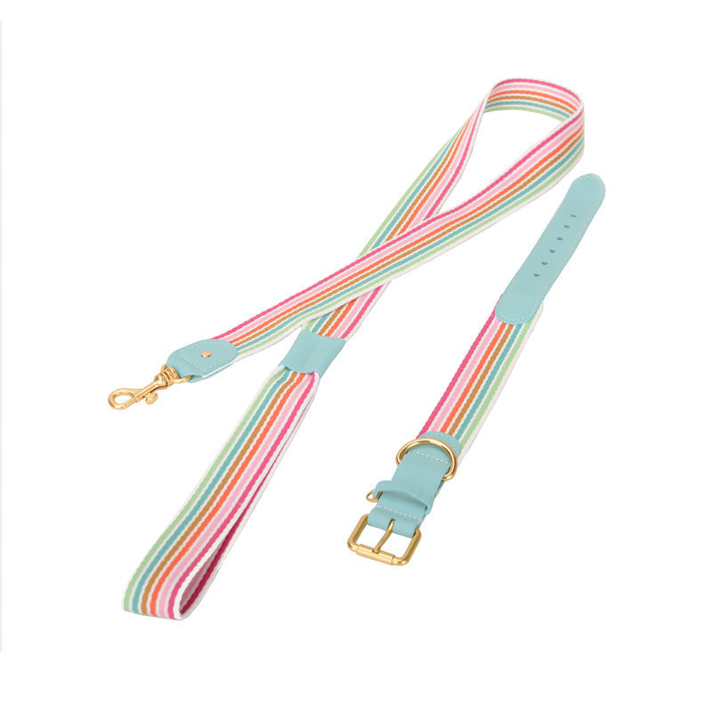 JMT-199498 Woven Leather Dog Collar with Braided Traction Rope for Medium to Large Dogs