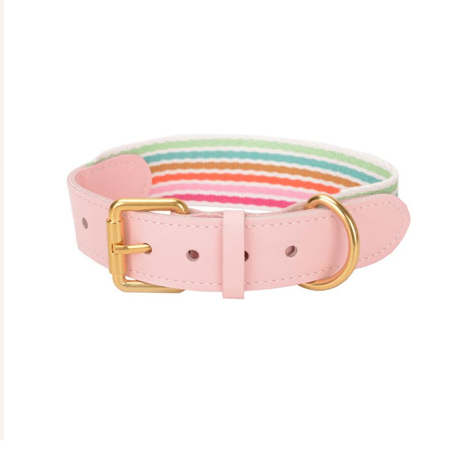 JMT-199498 Woven Leather Dog Collar with Braided Traction Rope for Medium to Large Dogs