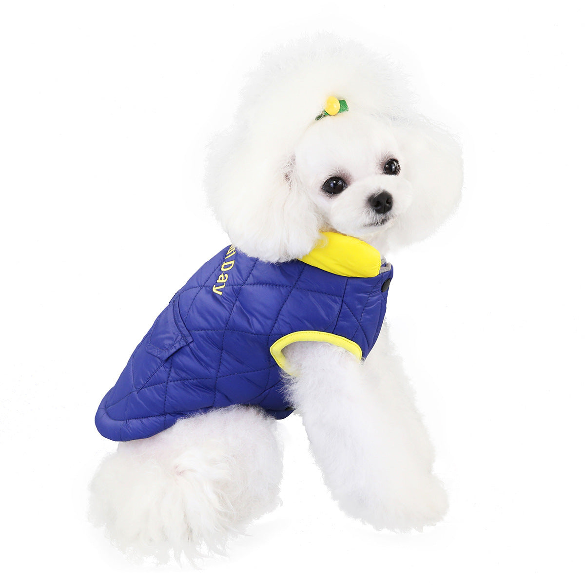 JMT-200778 Cotton Pet Vest for Casual Wear – Available in Multiple Sizes