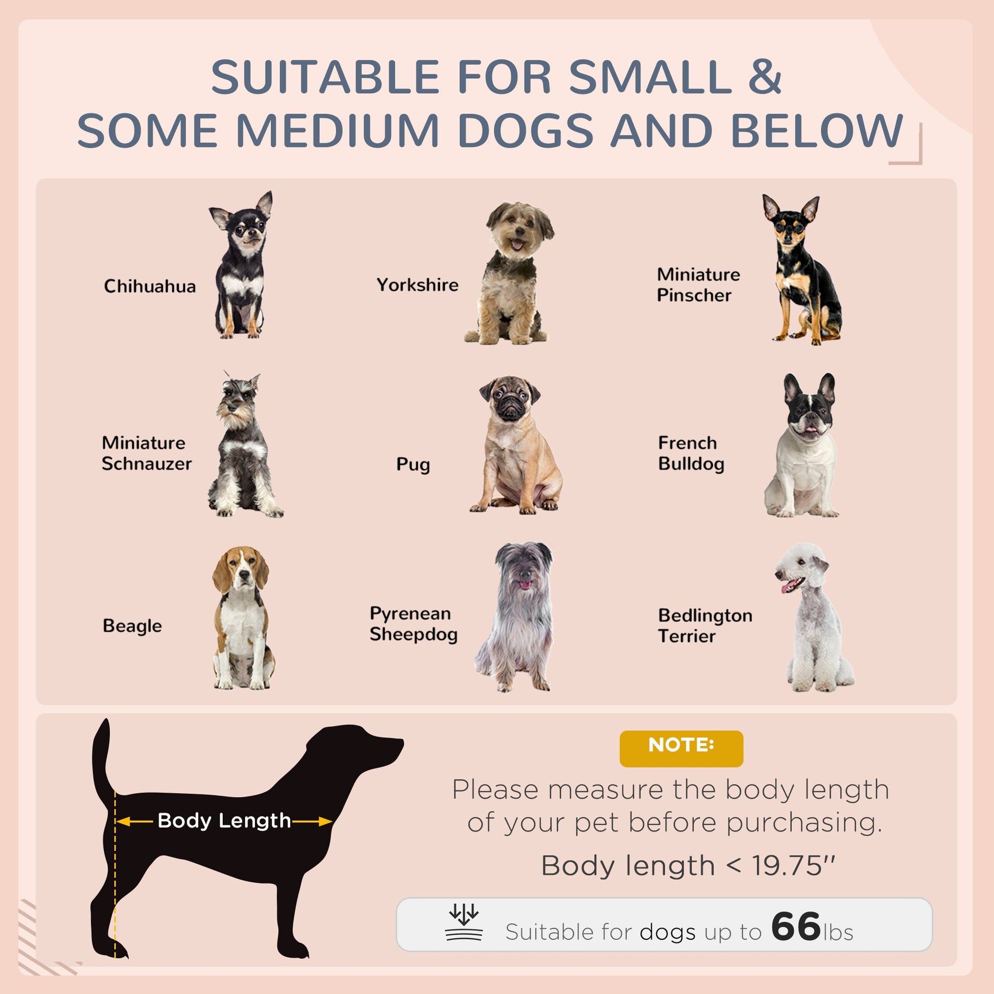 JMT-203466 Elevated Cream Wicker Dog Bed with Rattan Canopy and Cushioned Sleeping Pad for Outdoor Use