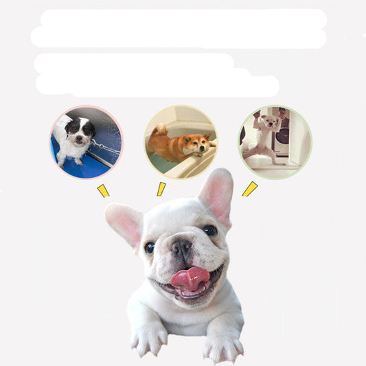 JMT-205066 Silicone Suction Cup Pet Bathing Bowl for Dogs with Paw Pad for Distraction