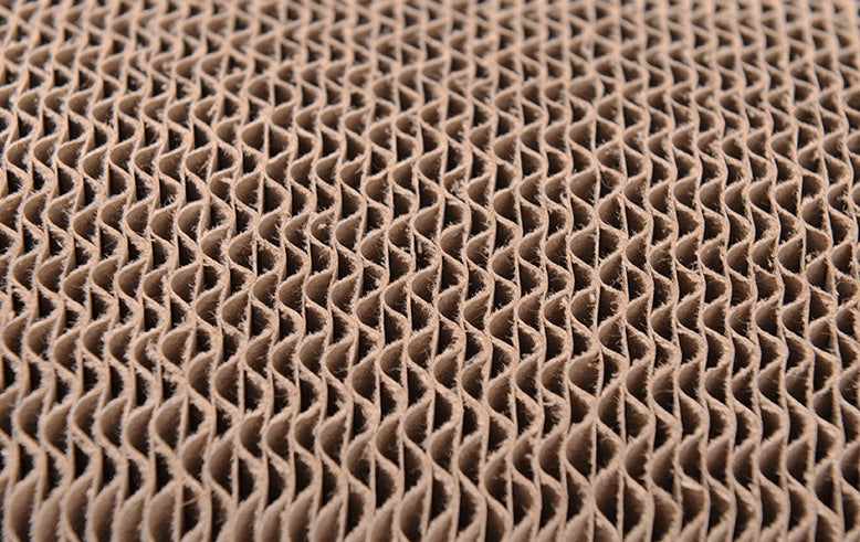 JMT-206922 Cat Paw Scratch Board - Durable Corrugated Paper Biting Toy for Cats, 44cm x 24cm