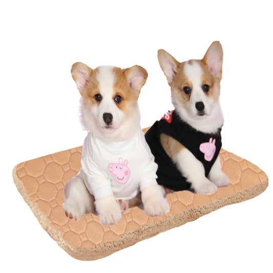 JMT-207370 Three-Layer Breathable Pet Mat for Rapid Sweat Absorption and Warmth