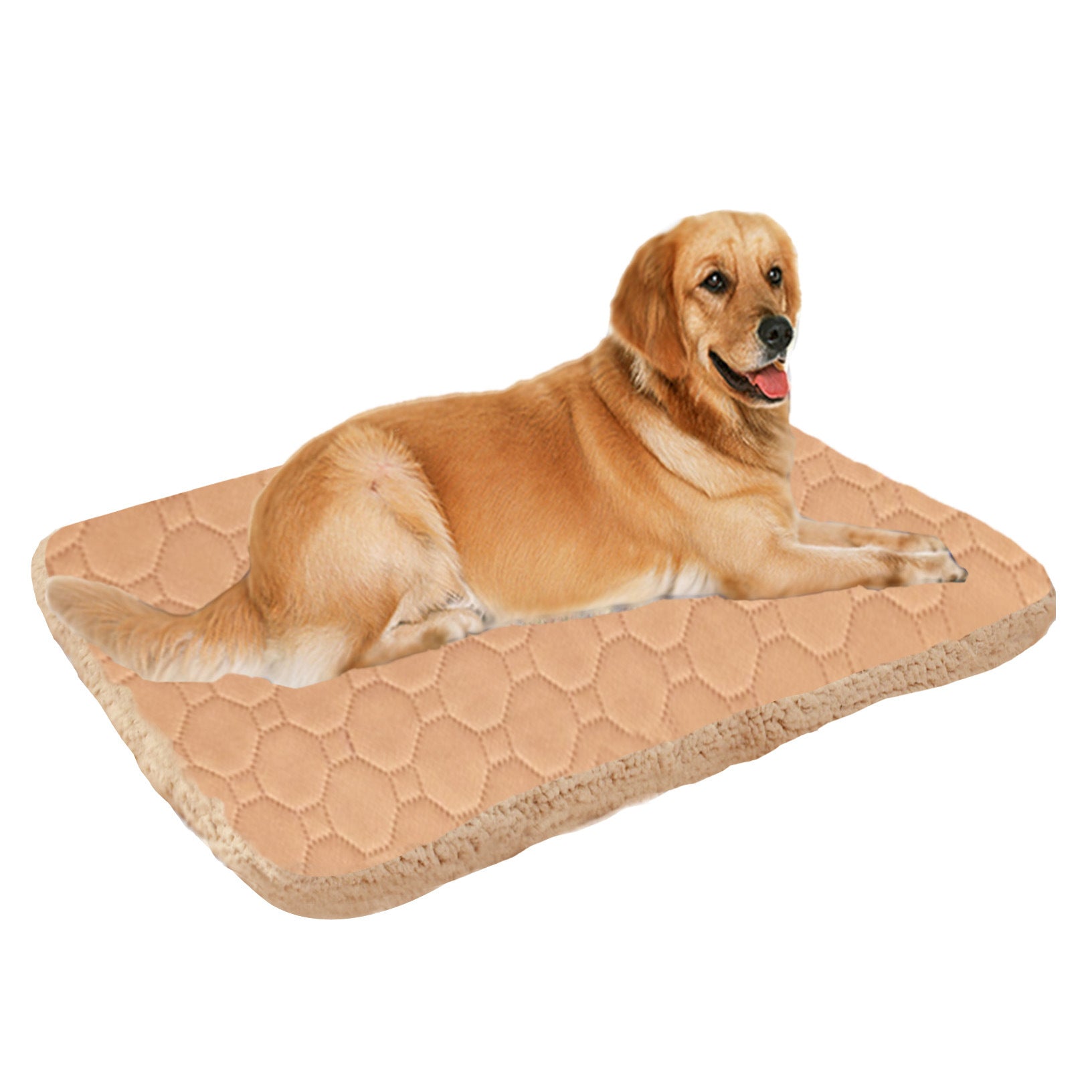 JMT-207370 Three-Layer Breathable Pet Mat for Rapid Sweat Absorption and Warmth