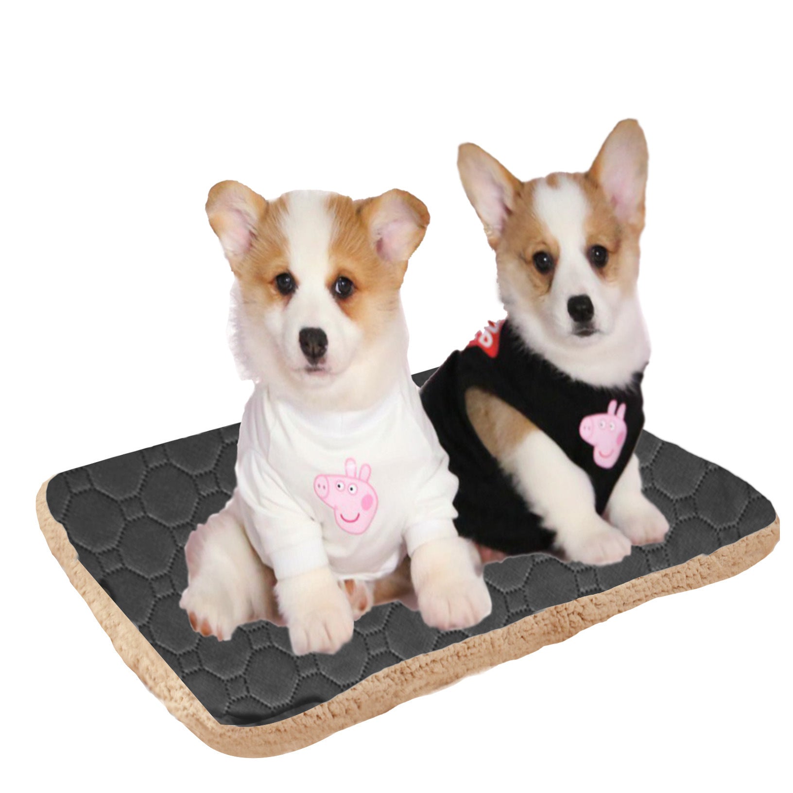 JMT-207370 Three-Layer Breathable Pet Mat for Rapid Sweat Absorption and Warmth
