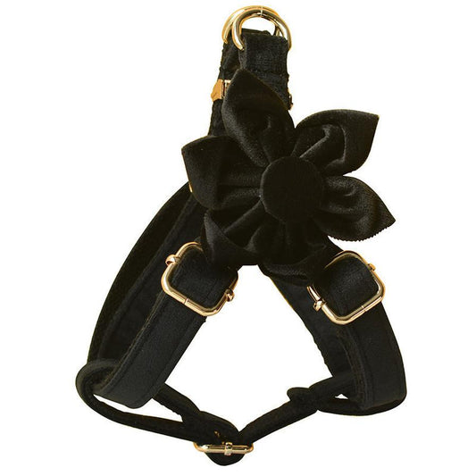 JMT-208394 Black Flannel Dog Harness with Gold Buckle - Adjustable Polyester Pet Chest Strap for Sizing Options S to XL