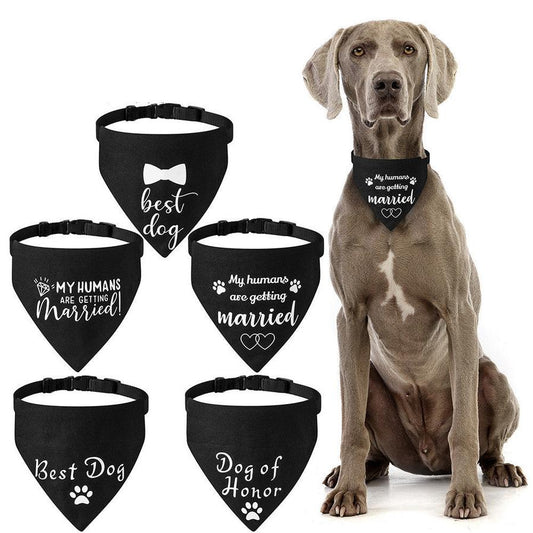 JMT-209866 Cotton Printed Dog Towel - Multiple Styles Available