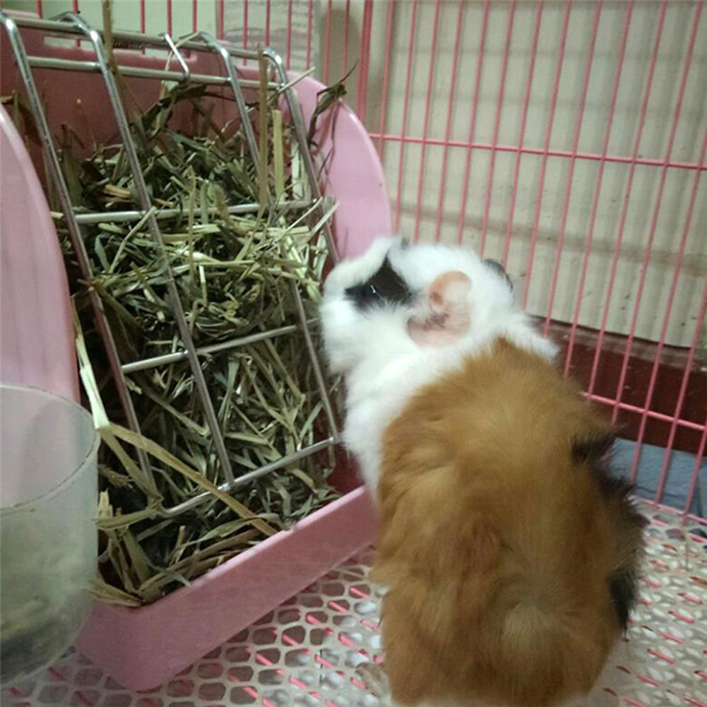 JMT-215050 Rabbit Grass Feeder for Healthy Chewing and Foraging