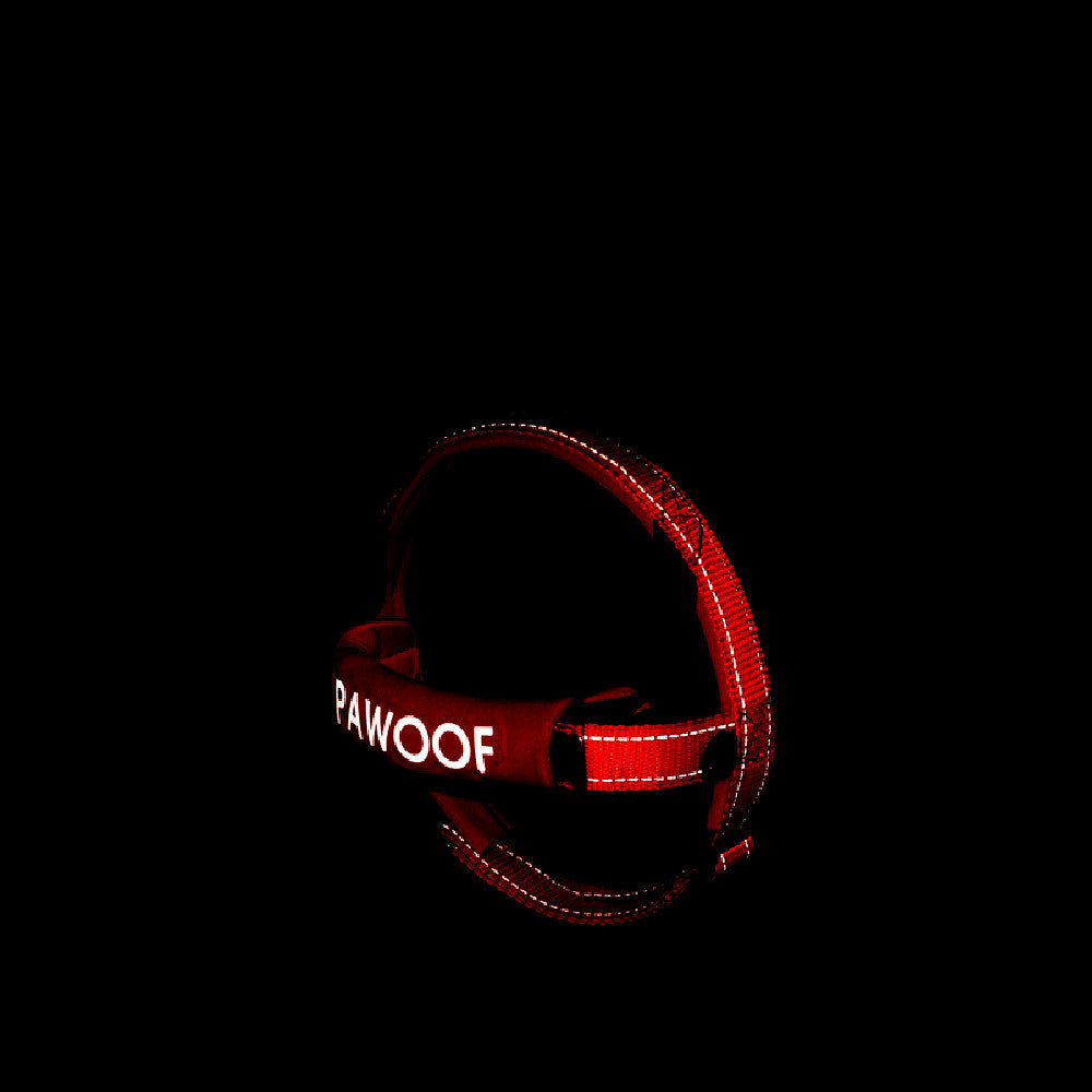 JMT-223050 Adjustable High-Strength Nylon Dog Harness with Leash – Available in Orange and Green