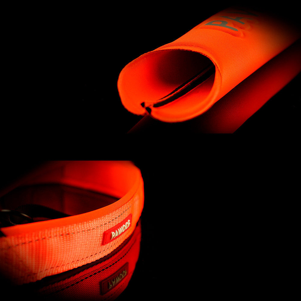 JMT-223050 Adjustable High-Strength Nylon Dog Harness with Leash – Available in Orange and Green