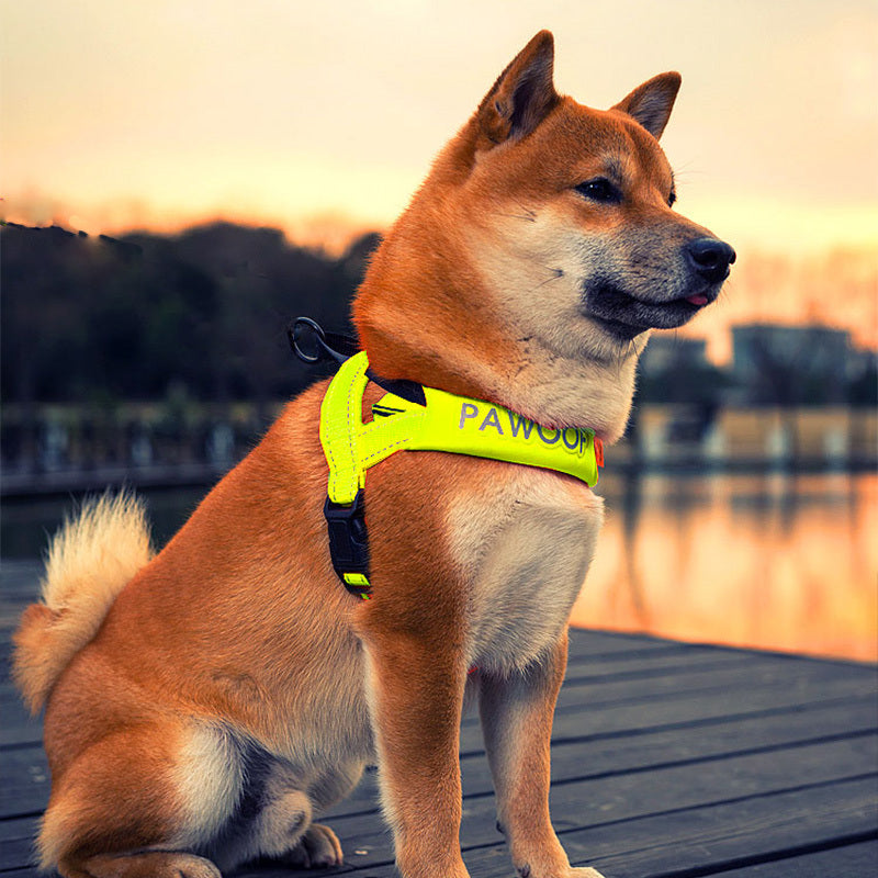 JMT-223050 Adjustable High-Strength Nylon Dog Harness with Leash – Available in Orange and Green