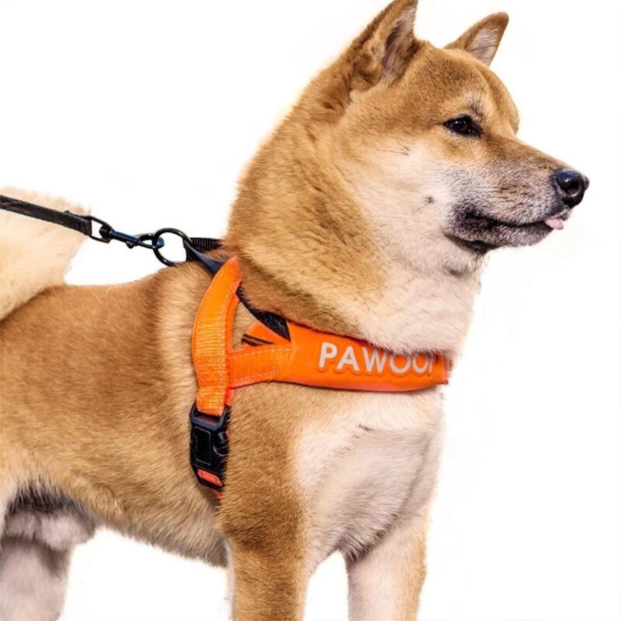 JMT-223050 Adjustable High-Strength Nylon Dog Harness with Leash – Available in Orange and Green