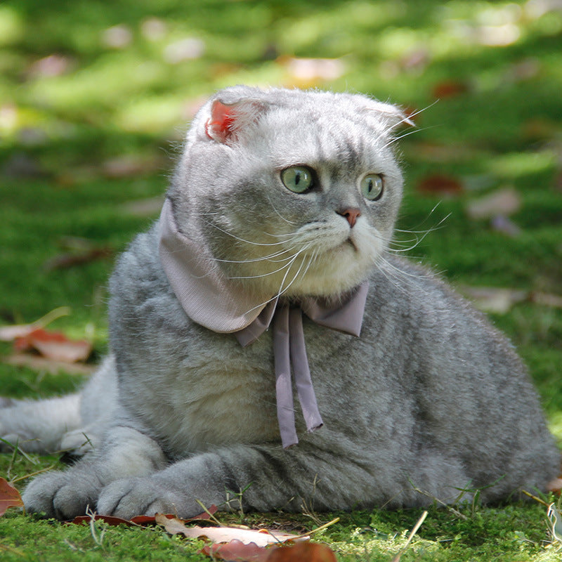 JMT-226634 Charming Pet Bow Tie Collar - British Style in Green with Red, Pink with Purple, White with Yellow