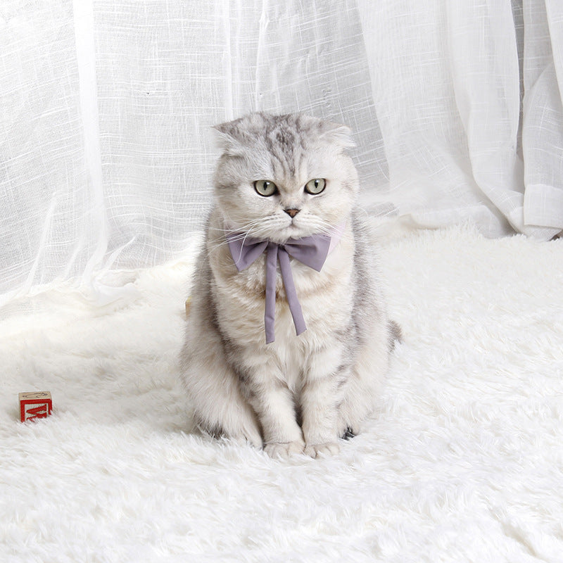 JMT-226634 Charming Pet Bow Tie Collar - British Style in Green with Red, Pink with Purple, White with Yellow