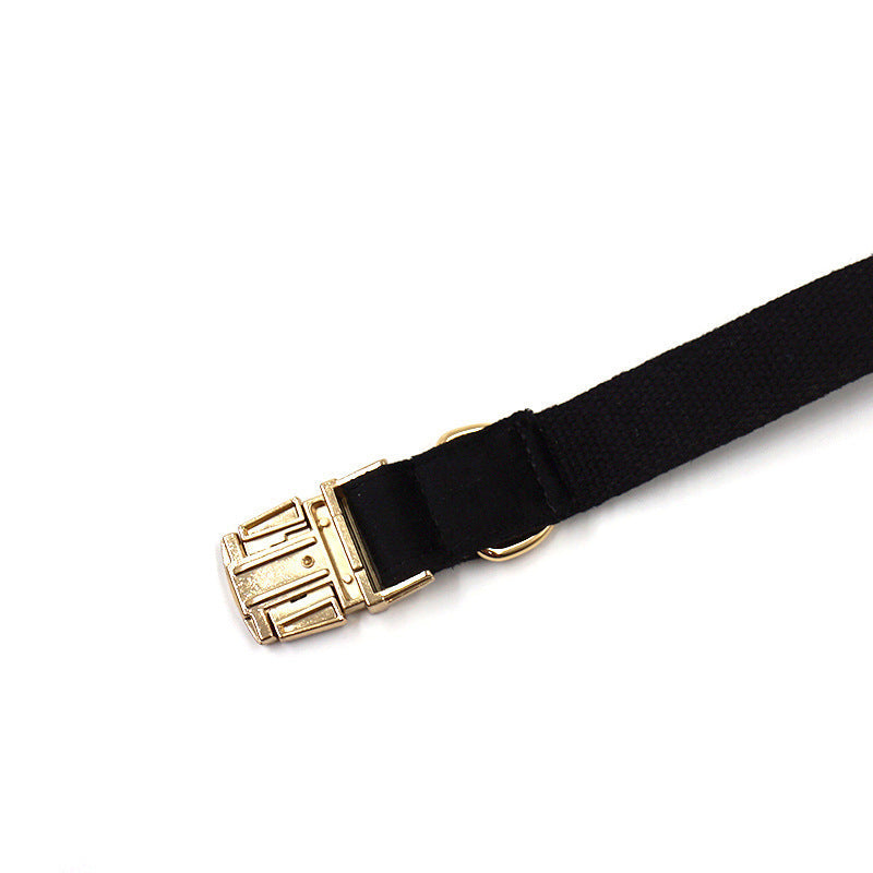 JMT-233098 Stylish Black Velvet Anti-Lost Dog Collar with Gold Buckle