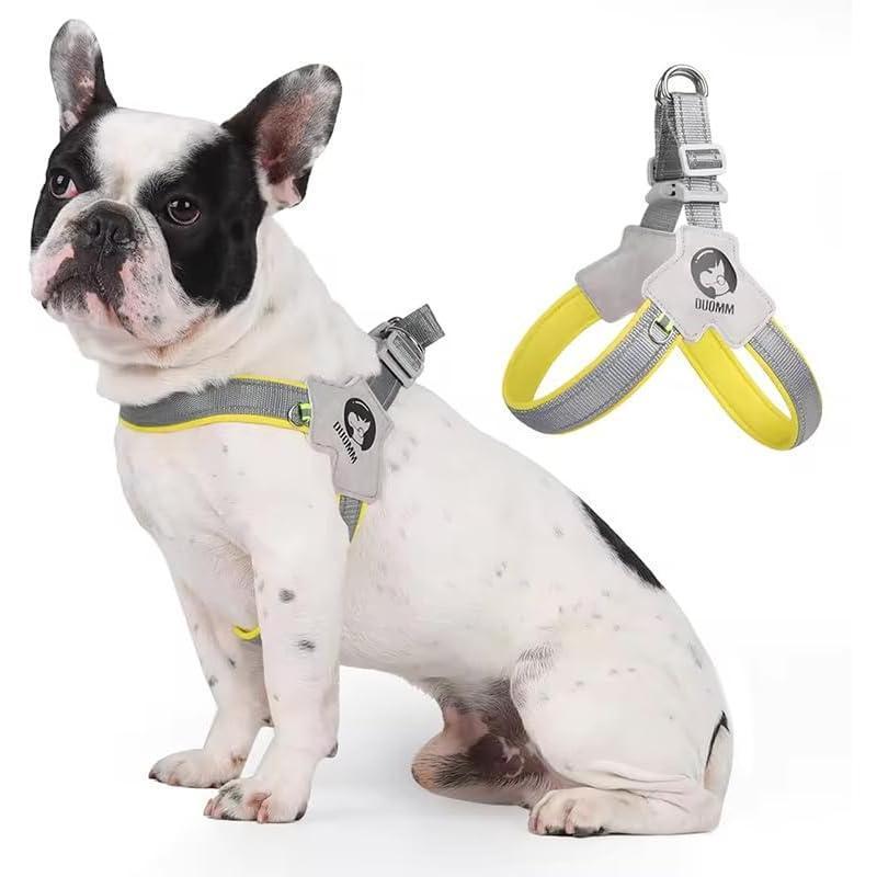 JMT-235402 Adjustable No-Pull Pet Harness with Leash Set for Dogs and Cats – Lightweight, Comfortable, and Reflective for Safe Walks