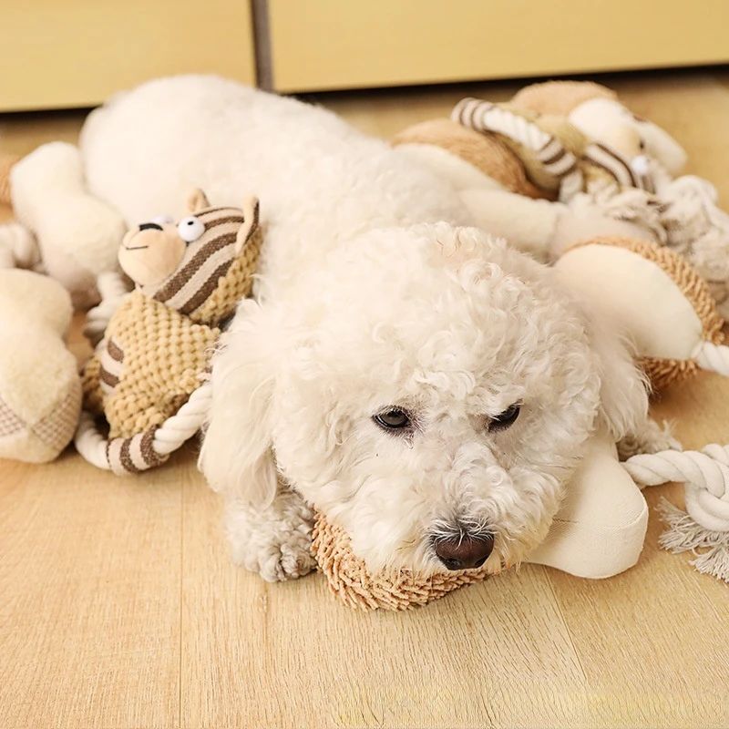 JMT-236042 Durable Cotton Rope Dog Toy for Teeth Cleaning and Training with Squeaker