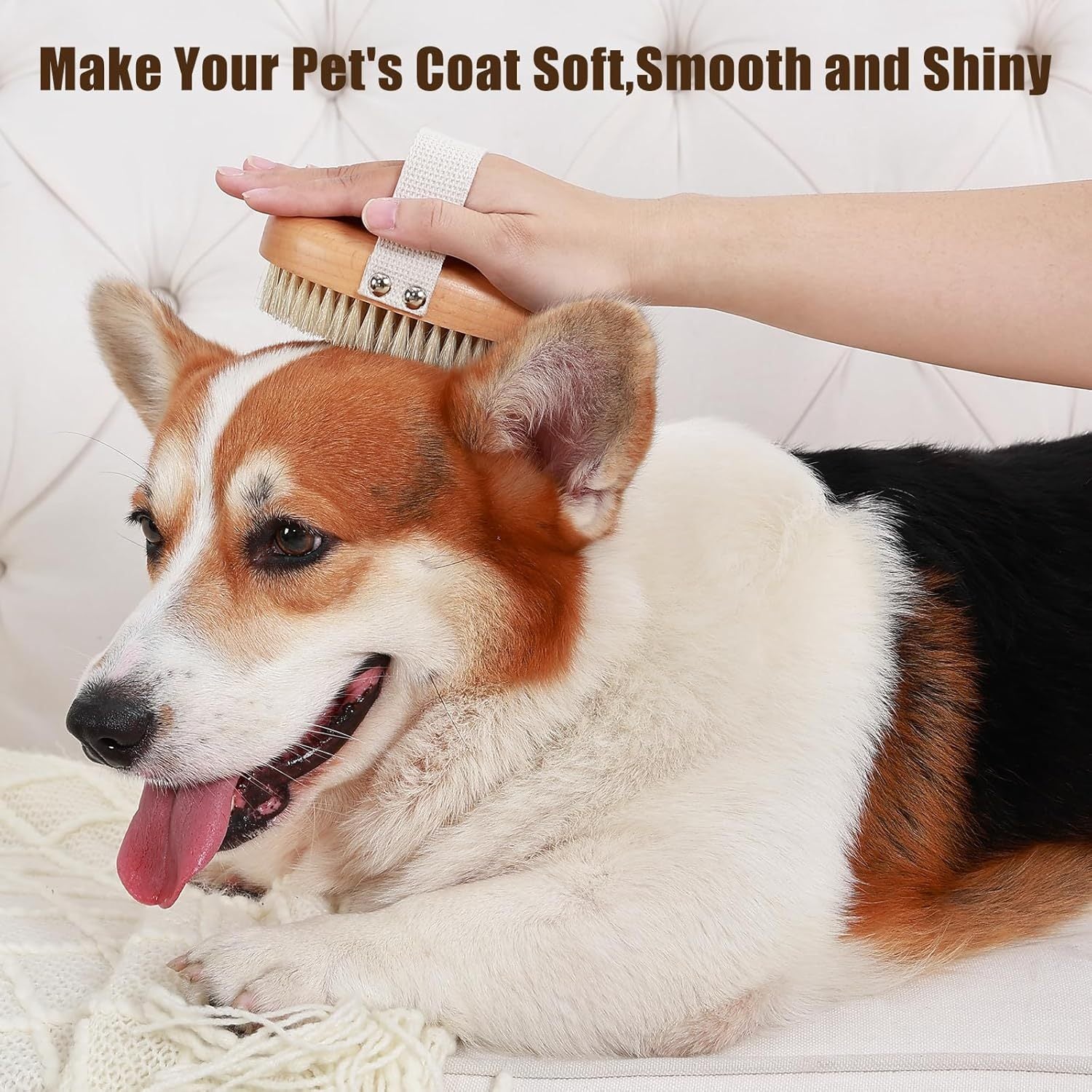 JMT-240906 Ergonomic Soft Boar Bristle Pet Brush for Short Haired Dogs and Cats, Reduces Shedding, Gentle on Skin