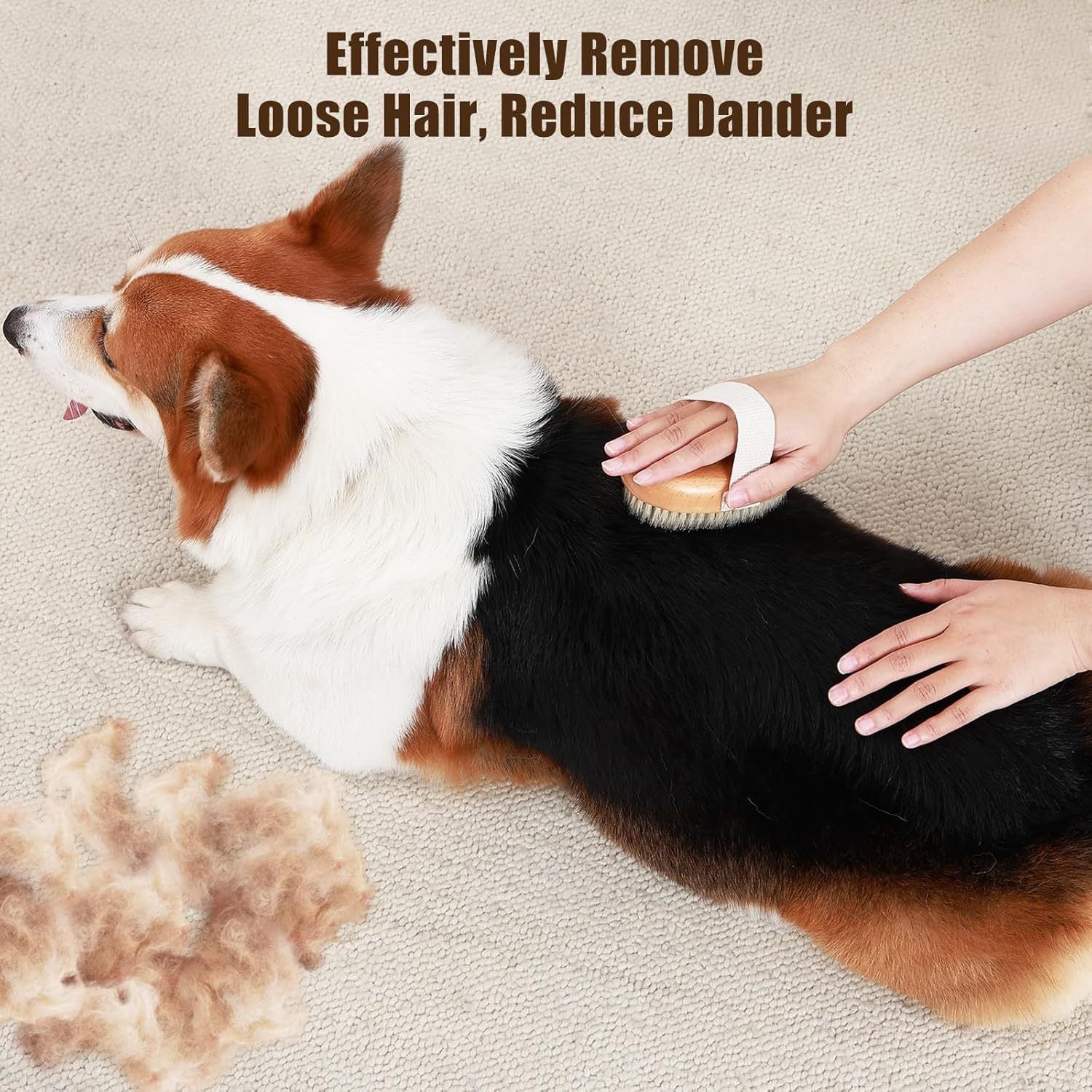 JMT-240906 Ergonomic Soft Boar Bristle Pet Brush for Short Haired Dogs and Cats, Reduces Shedding, Gentle on Skin