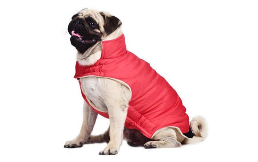 JMT-241738 Cotton Dog Vest for All Sizes in Blue, Red, and Gray