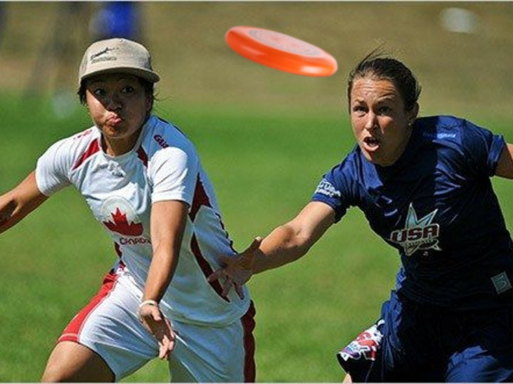 JMT-241802 Durable Polypropylene Dog and Cat Bowl in Candy Colors for Small to Medium Pets