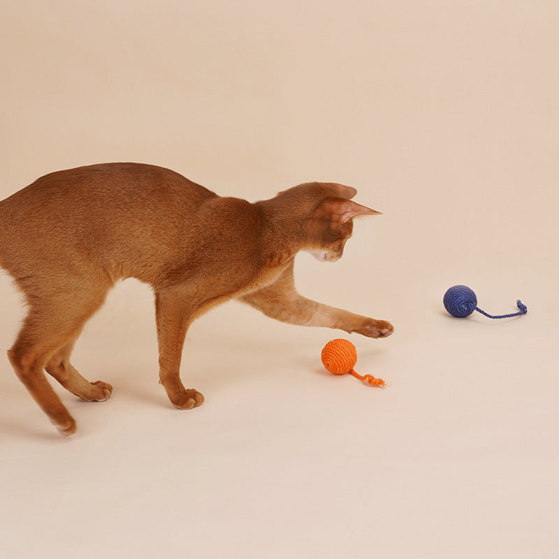 JMT-242122 Cat Teaser Stick with Bite Resistant Catnip Ball - Interactive Cat Toy Set for Kittens and Pets