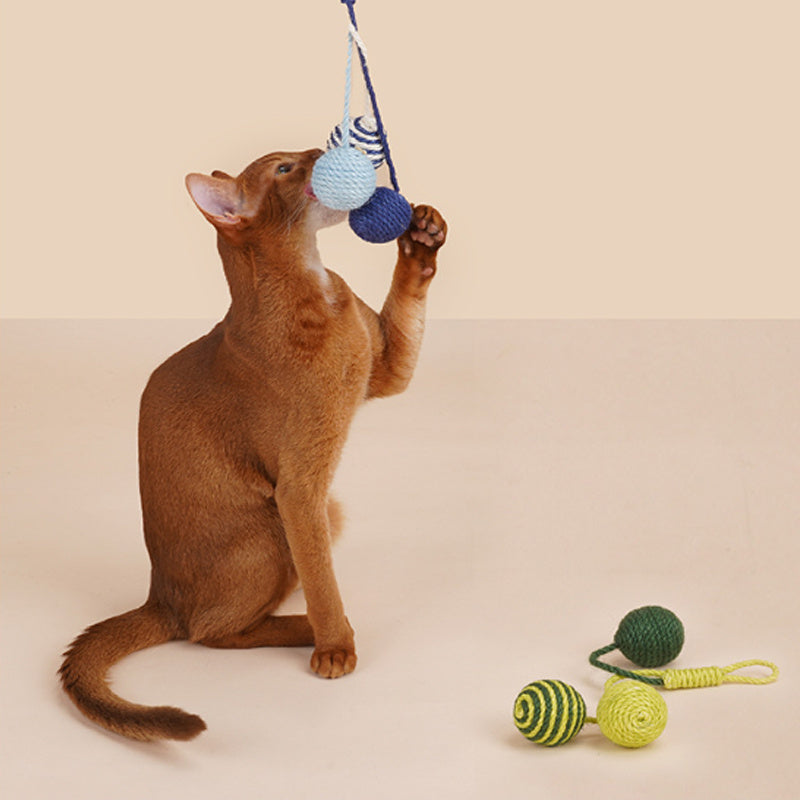 JMT-242122 Cat Teaser Stick with Bite Resistant Catnip Ball - Interactive Cat Toy Set for Kittens and Pets