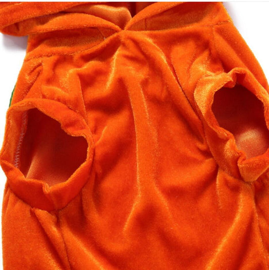 JMT-244042 Dog Spider Costume for Pets - Unique Design for Halloween Fun